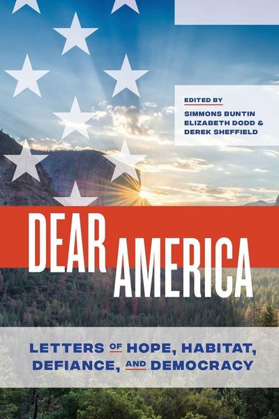 Produktbild: Dear America