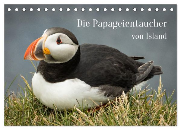 Die Papageientaucher von Island (Tischkalender 2026 DIN A5 quer), CALVENDO Monatskalender