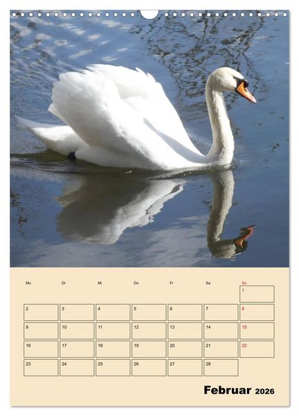 Produktbild: Leinemasch (Wandkalender 2026 DIN A3 hoch), CALVENDO Monatskalender