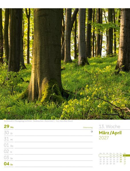 Produktbild: Unser Wald Wochenplaner Kalender 2027