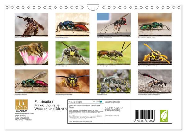Produktbild: Faszination Makrofotografie: Wespen und Bienen (Wandkalender 2026 DIN A4 quer), CALVENDO Monatskalender