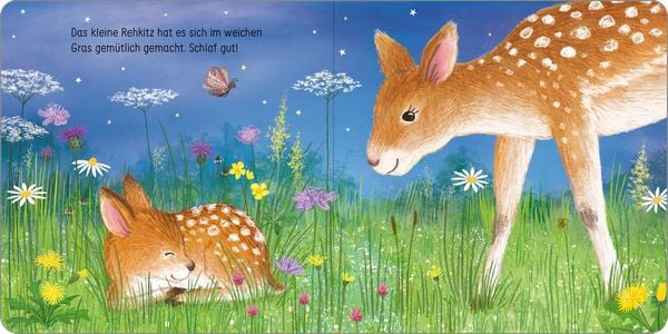 Produktbild: Schlaf gut, kleine Eule!
