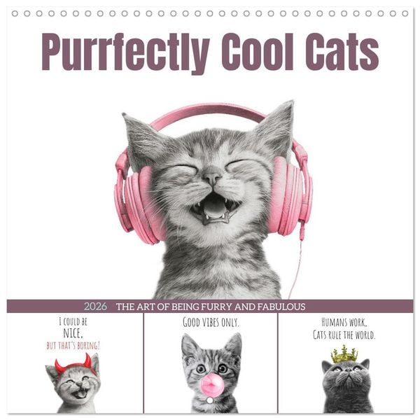 Produktbild: Purrfectly Cool Cats (Wall Calendar 2026 12 &times; 12 Inch) CALVENDO 12 Month Wall Calendar