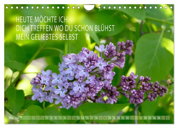 Produktbild: Haiku Poesie in Wort und Bild (Wandkalender 2026 DIN A4 quer), CALVENDO Monatskalender