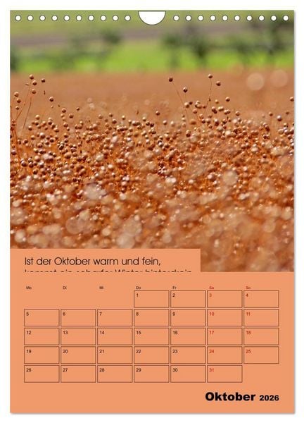 Produktbild: Wetter-Regeln der Bauern (Wandkalender 2026 DIN A4 hoch), CALVENDO Monatskalender