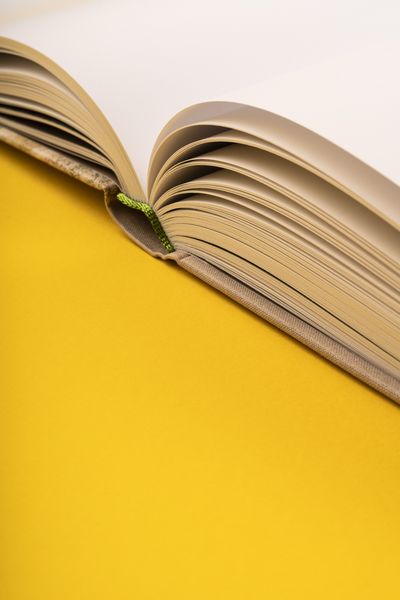 Produktbild: Otto Mueller. Catalogue Raisonn&eacute;