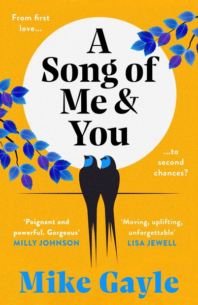 Produktbild: A Song of Me and You