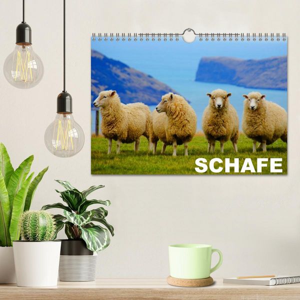 Produktbild: Schafe / Geburtstagskalender (Wandkalender 2026 DIN A4 quer), CALVENDO Monatskalender