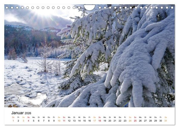 Produktbild: Naturparadies Polen (Wandkalender 2026 DIN A4 quer), CALVENDO Monatskalender