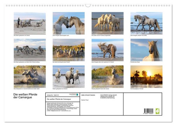 Produktbild: Die wei&szlig;en Pferde der Camargue (Wandkalender 2026 DIN A2 quer), CALVENDO Monatskalender