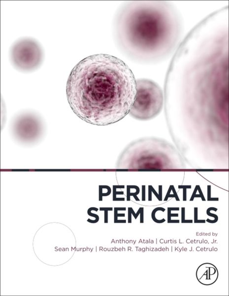 Produktbild: Perinatal Stem Cells