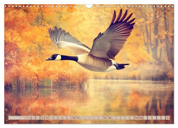 Produktbild: Zwischen Himmel und Wasser (Wandkalender 2026 DIN A3 quer), CALVENDO Monatskalender