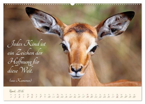 Produktbild: AFRIKA mit einem Hauch von Poesie (hochwertiger Premium Wandkalender 2026 DIN A2 quer), Kunstdruck in Hochglanz