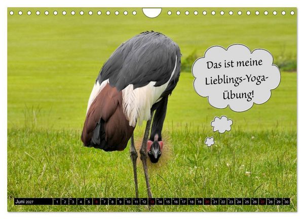 Produktbild: Wenn Tiere sprechen k&ouml;nnten! Der lustige Spr&uuml;che Kalender (Wandkalender 2027 DIN A4 quer), CALVENDO Monatskalender