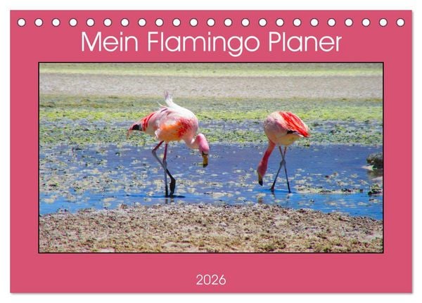 Produktbild: Mein Flamingo Planer (Tischkalender 2026 DIN A5 quer), CALVENDO Monatskalender