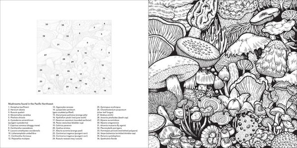 Produktbild: Color the Pacific Northwest
