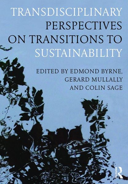 Produktbild: Transdisciplinary Perspectives on Transitions to Sustainability