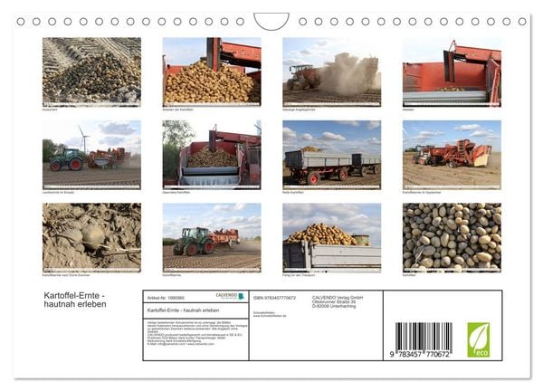 Produktbild: Kartoffel-Ernte - hautnah erleben (Wandkalender 2026 DIN A4 quer), CALVENDO Monatskalender