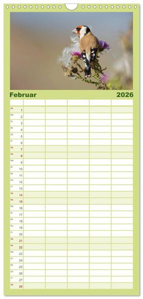 Produktbild: Familienplaner 2026 - Das faszinierende Reich der V&ouml;gel mit 5 Spalten (Wandkalender, 21 x 45 cm) CALVENDO