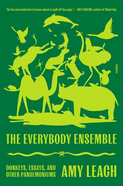 Produktbild: Everybody Ensemble