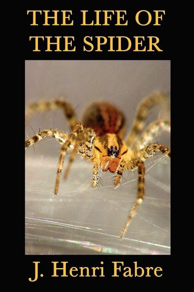 Produktbild: The Life of the Spider