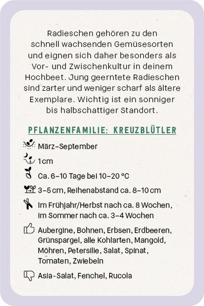 Produktbild: Kartenset: Hochbeet super easy