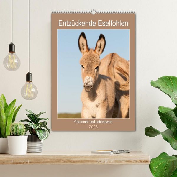 Produktbild: Entz&uuml;ckende Esel - Charmant und liebenswert (Wandkalender 2026 DIN A2 hoch), CALVENDO Monatskalender