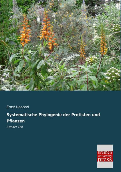 Produktbild: Systematische Phylogenie der Protisten und Pflanzen