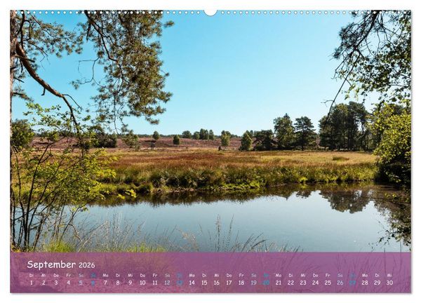 Produktbild: Im Herzen der L&uuml;neburger Heide (Wandkalender 2026 DIN A2 quer), CALVENDO Monatskalender