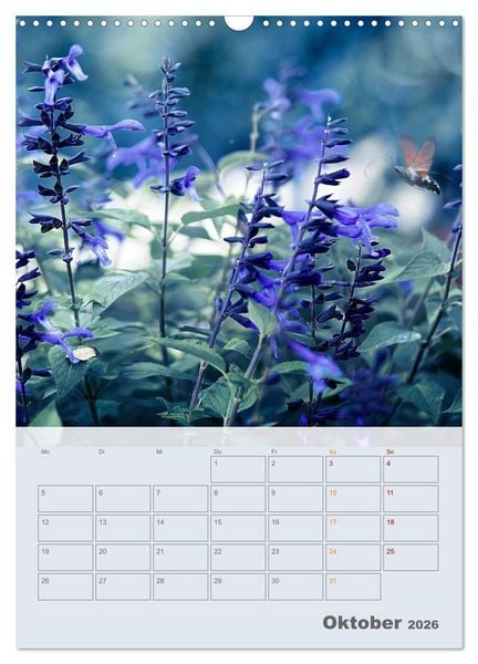 Produktbild: Magie im Garten (Wandkalender 2026 DIN A3 hoch), CALVENDO Monatskalender