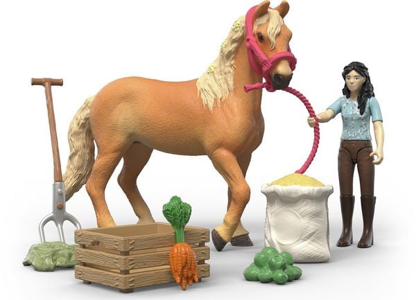 Produktbild: schleich&reg; 42797 Emilys Pflegeset mit Pferd