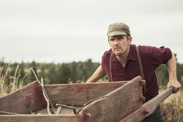 Produktbild: Maudie