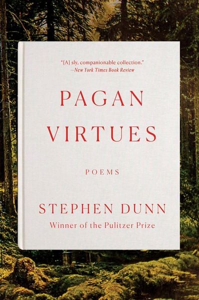 Produktbild: Pagan Virtues