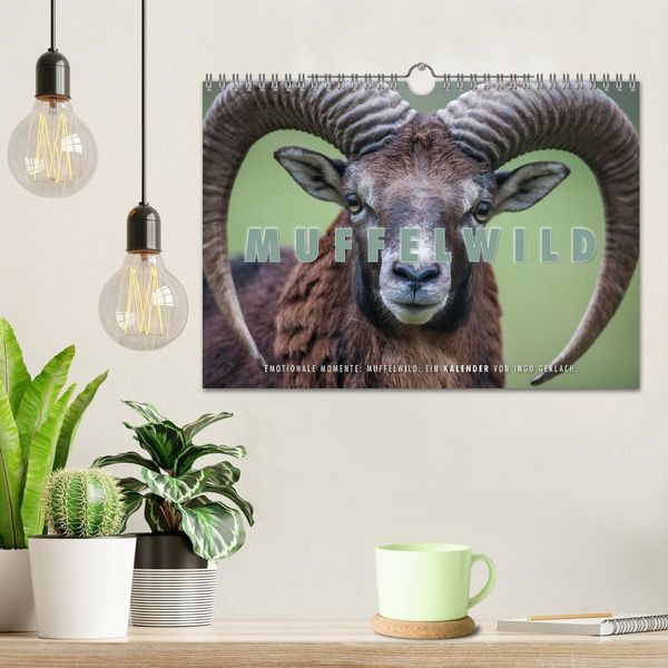 Produktbild: Emotionale Momente: Muffelwild. (Wandkalender 2026 DIN A4 quer), CALVENDO Monatskalender