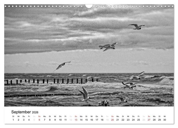 Produktbild: Ostseebad Zingst - Impressionen in Schwarz-Wei&szlig; (Wandkalender 2026 DIN A3 quer), CALVENDO Monatskalender