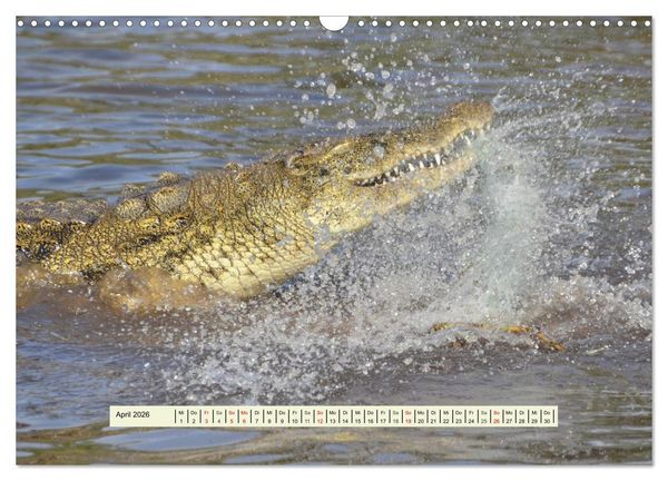 Produktbild: Reptilien des s&uuml;dlichen Afrikas (Wandkalender 2026 DIN A3 quer), CALVENDO Monatskalender