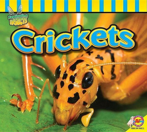 Produktbild: Crickets