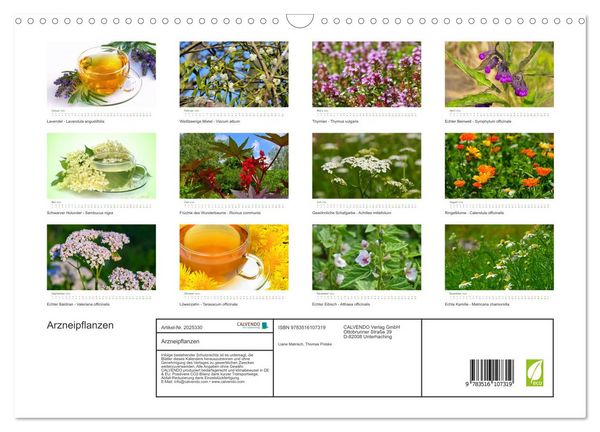 Produktbild: Arzneipflanzen (Wandkalender 2026 DIN A3 quer), CALVENDO Monatskalender