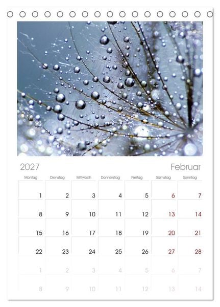 Produktbild: Tischplaner 2027 - Naturjuwel Pusteblume (A5 Tischkalender zum Aufstellen) CALVENDO