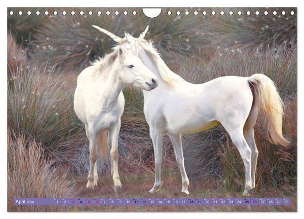 Produktbild: Einhorn Welt - vertr&auml;umte Einhornbilder (Wandkalender 2026 DIN A4 quer), CALVENDO Monatskalender