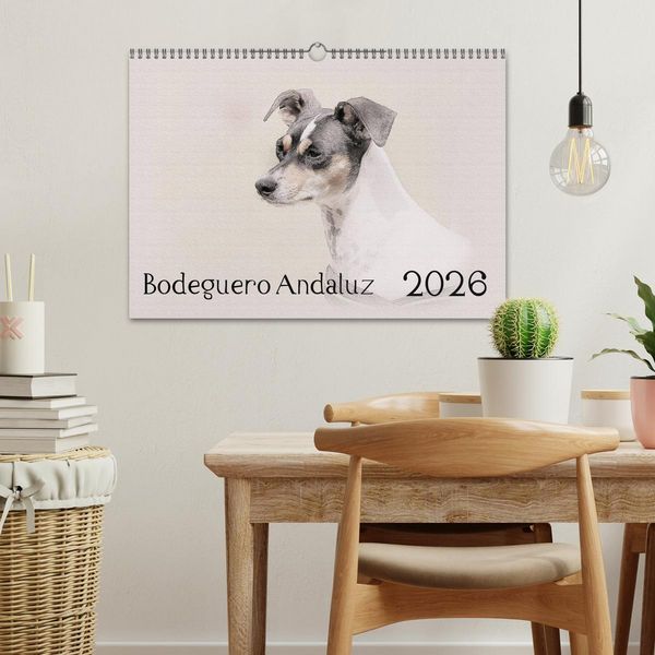 Produktbild: Bodeguero Andaluz 2026 (Wandkalender 2026 DIN A3 quer), CALVENDO Monatskalender