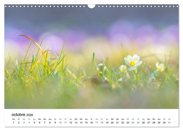 Produktbild: Fleurs po&eacute;tiques (Calendrier mural 2026 DIN A3 vertical), CALVENDO calendrier mensuel