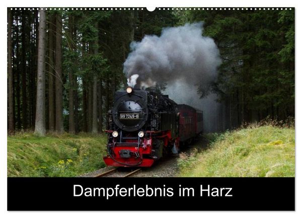 Produktbild: Dampferlebnis im Harz (Wandkalender 2026 DIN A2 quer), CALVENDO Monatskalender
