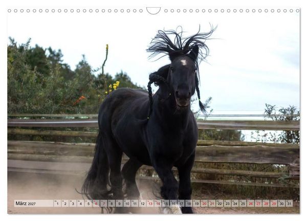 Produktbild: Colorful Horse Ranch &ndash; Wo Tinker posen und Ponys l&auml;cheln (Wandkalender 2027 DIN A3 quer), CALVENDO Monatskalender