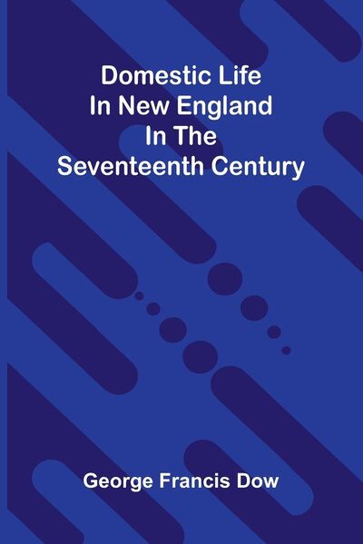 Produktbild: Domestic life in New England in the seventeenth century