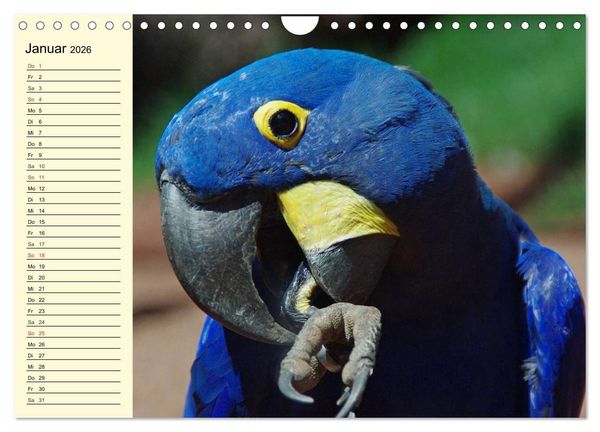 Produktbild: Brasilien. Faszinierend und gro&szlig; wie ein Kontinent (Wandkalender 2026 DIN A4 quer), CALVENDO Monatskalender
