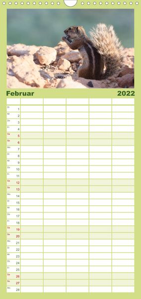 Produktbild: Atlash&ouml;rnchen - Familienplaner hoch (Wandkalender 2022 , 21 cm x 45 cm, hoch)