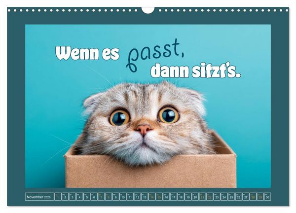 Produktbild: Katzenhumor - Ein Jahr voller Flauschalarm (Wandkalender 2026 DIN A3 quer), CALVENDO Monatskalender