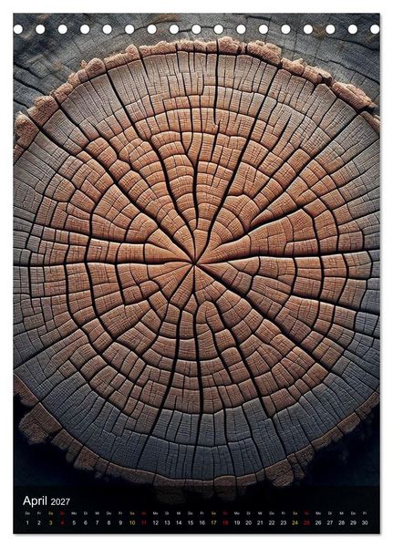 Produktbild: Geometrie der Natur &ndash; Formen, Muster, Strukturen (Tischkalender 2027 DIN A5 hoch), CALVENDO Monatskalender