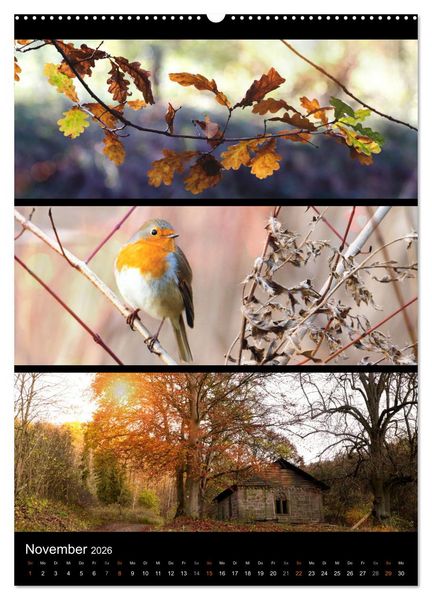 Produktbild: Bezaubernde Farben der Natur (hochwertiger Premium Wandkalender 2026 DIN A2 hoch), Kunstdruck in Hochglanz